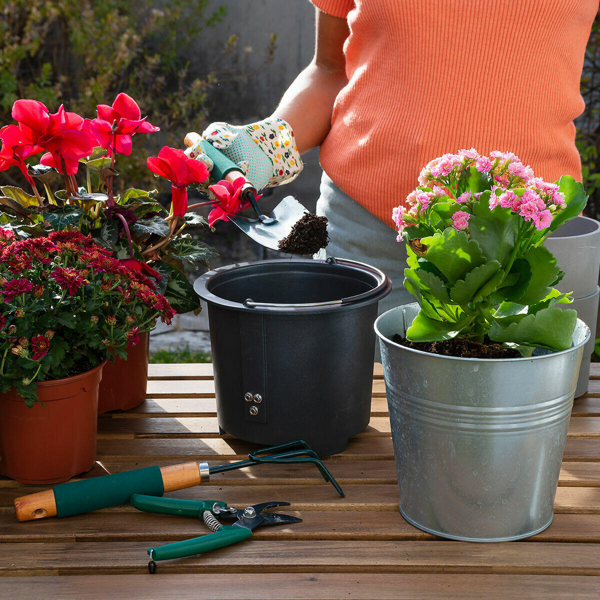 Compostador eléctrico de cocina Ewooster InnovaGoods